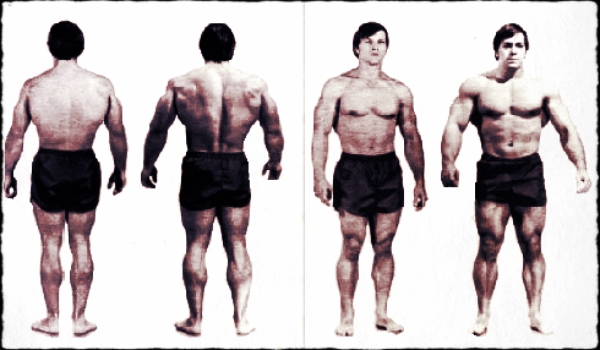 THE COLORADO EXPERIMENT