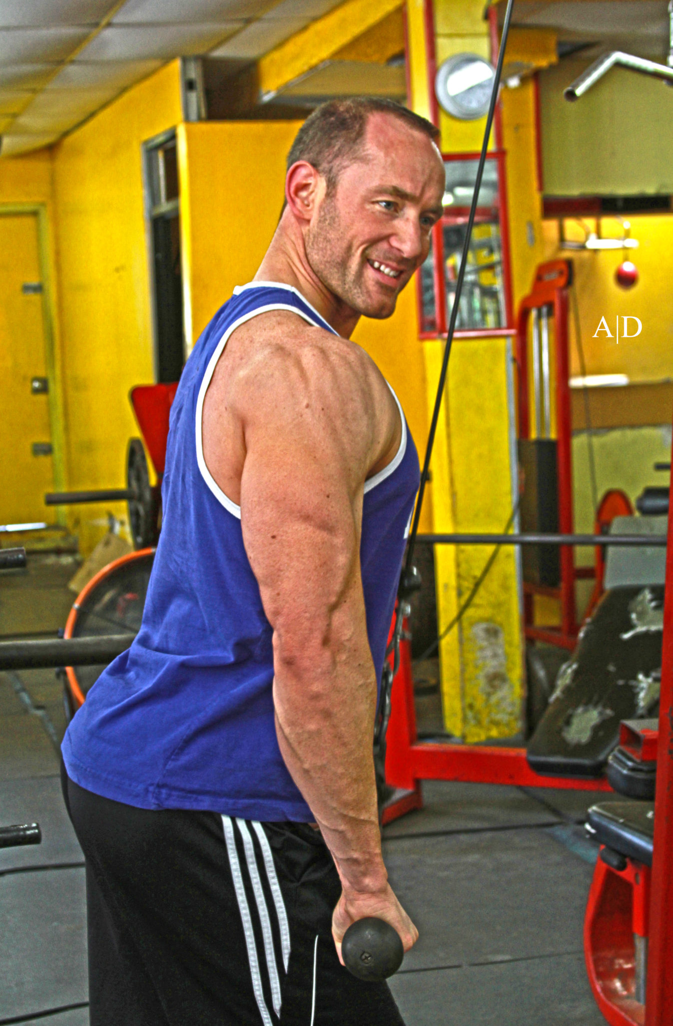 Triceps pressdowns- a new look at an old classic!